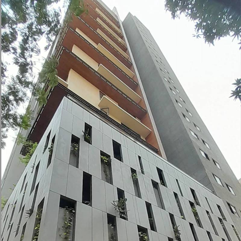 Maple shade - Bandra